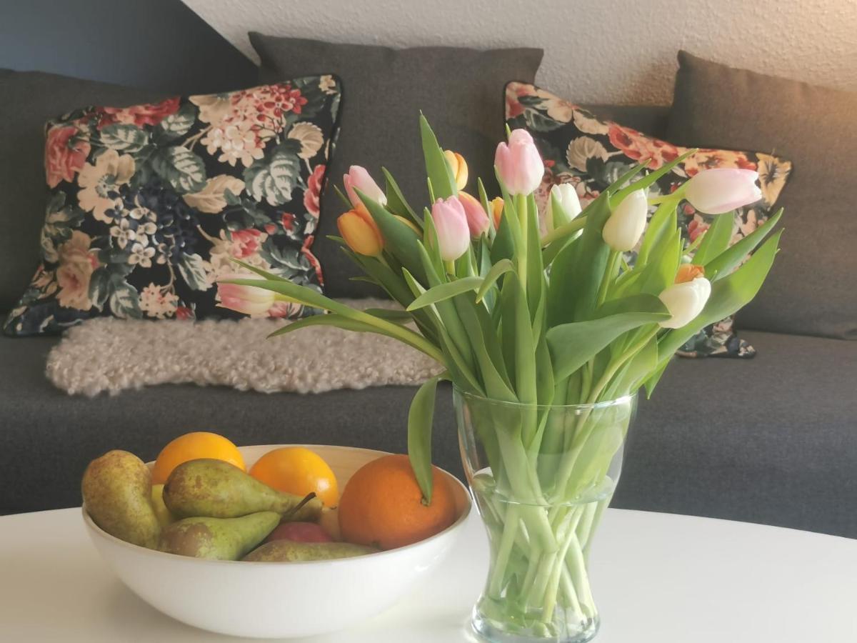 Suite Beach 5 Rooms 2 Bathrooms 1 Kitchen 1 Piano Ostseebad Kühlungsborn Kültér fotó